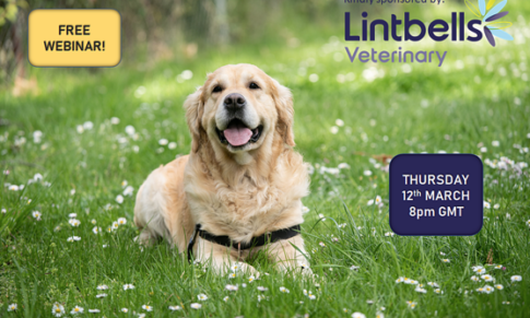 CPD Webinar – Small Animal Arthritis