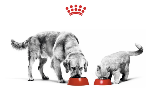 What you need to know about Sustainability, Food Safety and Quality Control
