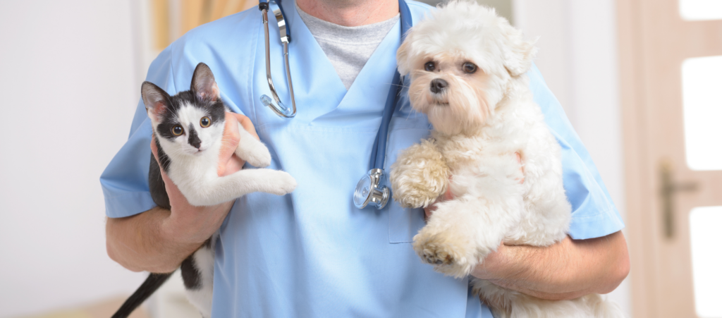 Critical Care and Enteral Nutritional options