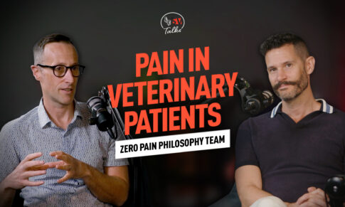 SV Talks: Pain in Veterinary Patients- what we need to know with the Zero Pain Philosophy team