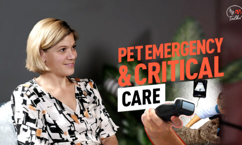 SV Talks: Why POCUS is a Game Changer for Vets – with Dr. Laura Cole