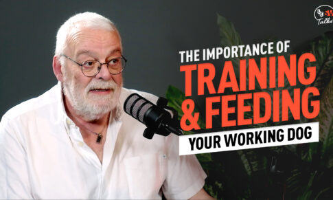 SV Talks: Prof. Dominique Grandjean on Working Dog Nutrition & Performance