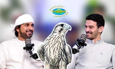 SV Talks: A look Inside UAE’s Chief of Falconers(Ft. Dr Ali Hammad & Jarrah Bin Shanna Al Ketbi)
