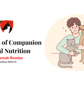 Principles of Companion Animal Nutrition