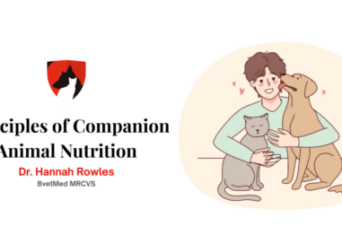 Principles of Companion Animal Nutrition
