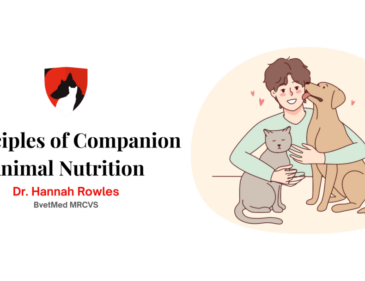 Principles of Companion Animal Nutrition