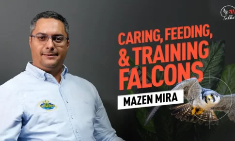 SV Talks: Mazen Mira on Caring, Training, & Feeding Falcons