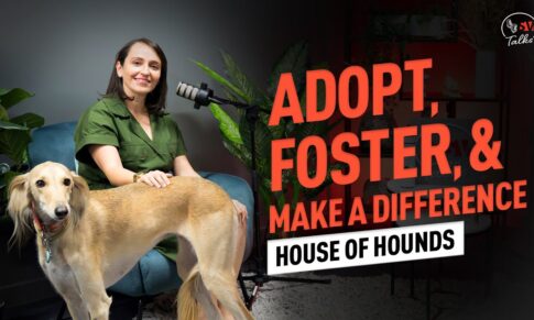 SV TALKS: Meet House of Hounds — Adopt, Foster, and Make a Difference