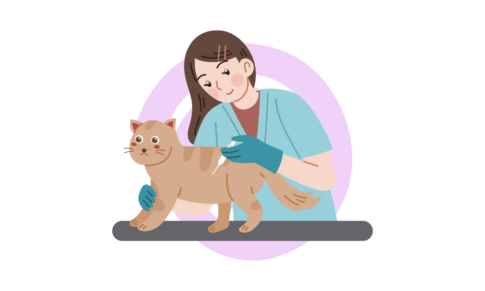 Angst about Analgesia (Pain Management)