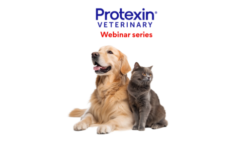 Protexin – The Microbiota, Probiotics and Prebiotics – Part 1