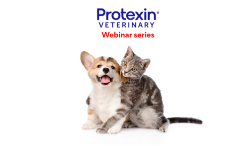 Protexin – The Microbiota, Probiotics and Prebiotics – Part 2
