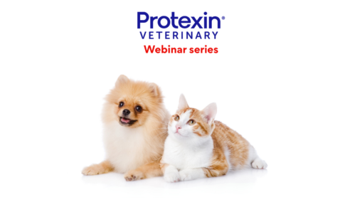 Protexin – The Microbiota, Probiotics and Prebiotics – Part 3