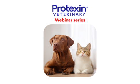 Protexin – Cobalamin Deficiency – Part 1