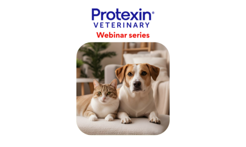 Protexin – Cobalamin Deficiency – Part 2