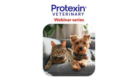Protexin – Cobalamin Deficiency – Part 3
