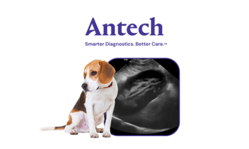 Antech – Effusion Analysis