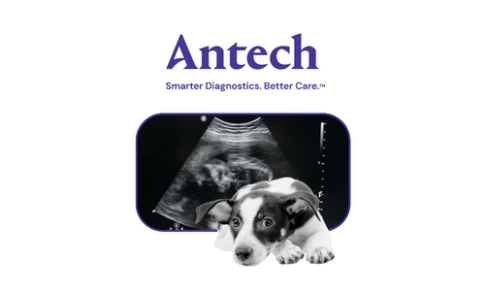 Antech – Mission Critical: when pets need critical insights and you need it now!