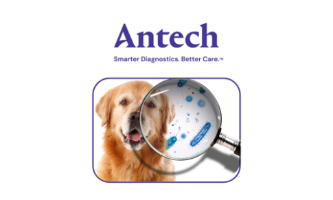 Antech – Keyscreen GI Parasite PCR: Unlocking the key to wellness fecal screening